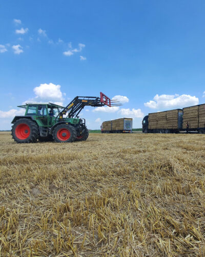 Raufutter Hochformat Feld